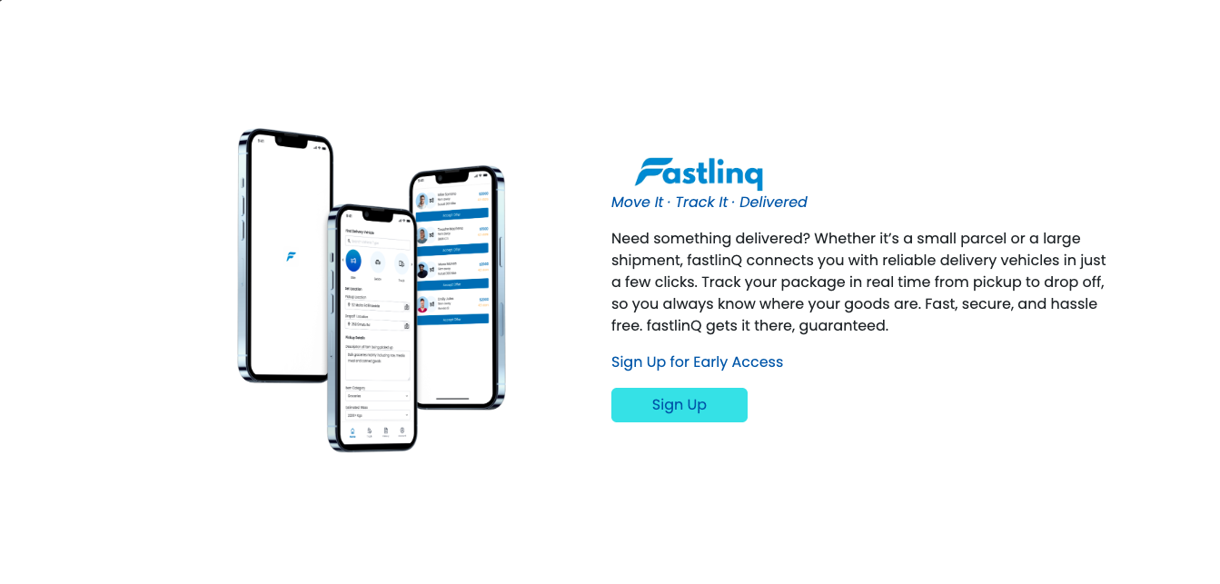 FastLinQ website snapshot